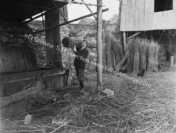 STEAMING SALLIES TO REMOVE BARK